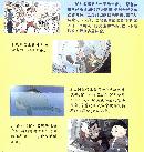 xpyu20131010