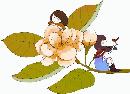 ylsn20132305