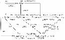 zjcg20130520