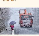 zsyj20130733