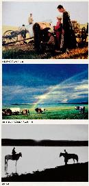 zsyj20130715
