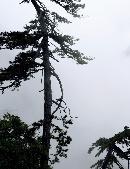 zsyj20130811