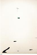 zsyj20130816