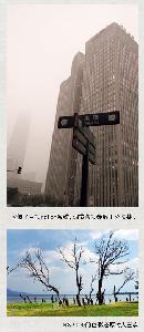 zsyj20130830
