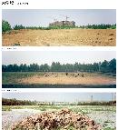 zsyj20131014