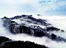 zsyj20140110