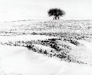 zsyj20140112