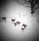 zsyj20140113
