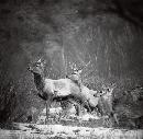 zsyj20140113