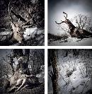 zsyj20140113