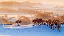 zsyj20140131