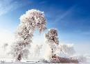 zsyj20140131