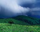 zsyj20140413