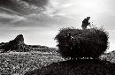 zsyj20140418